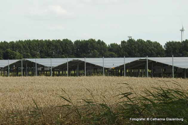 Gaashekwerk rondom Zonnepark Stadskanaal - Hoving Hekwerk B.V. Stadskanaal