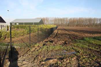 Dubbelstaafmat afrastering Hoving Hekwerk B.V. Stadskanaal