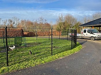 Dierenweide Oostwold Hoving Hekwerk B.V. Stadskanaal